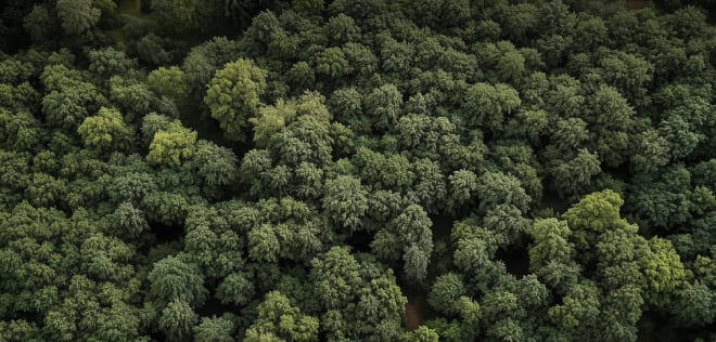 Фото примера